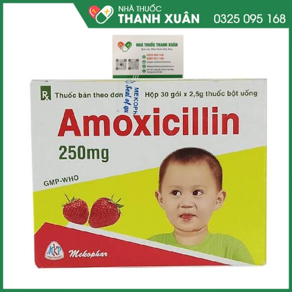 Amoxicillin 250mg điều trị nhiễm khuẩn